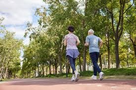 2025年Steam大奖名单 《空洞骑士：丝之歌》获年度游戏